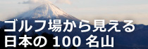 վ줫鸫ܤ100̾