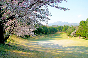 コース風景